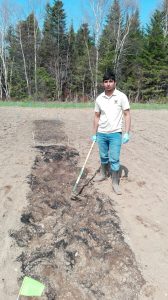 Blending AirTerra SoilMatrix biochar into Memorial University Field Trials.