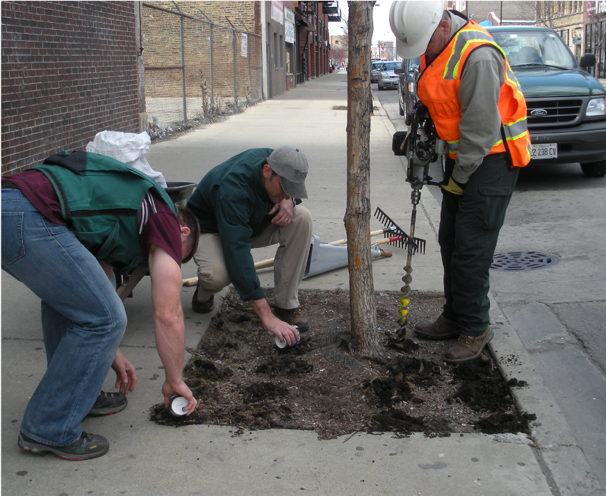 Applying Biochar Using a Vertical Mulching Method for Sick Trees